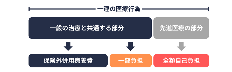 保険外併用療養費（先進医療）