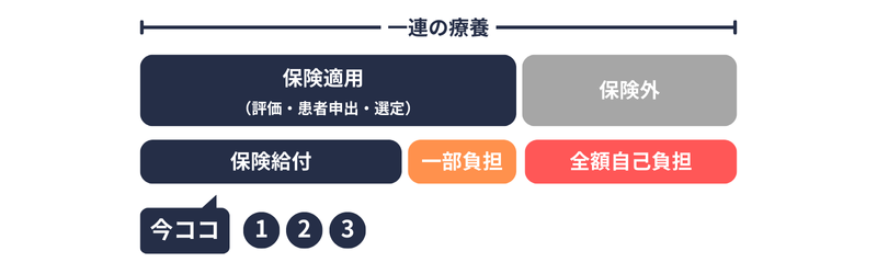 保険外併用療養費のイメージ