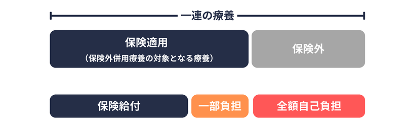 保険外併用｜制度のイメージ