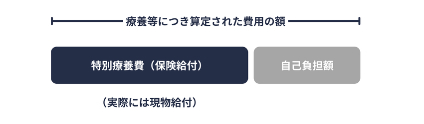特別療養費｜支給額