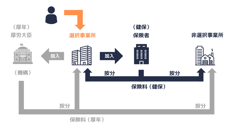 二以上｜健保・厚年（1号厚年）の概念図