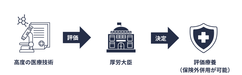 評価療養の仕組み