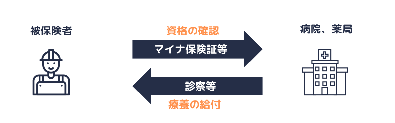 療養の給付｜資格確認