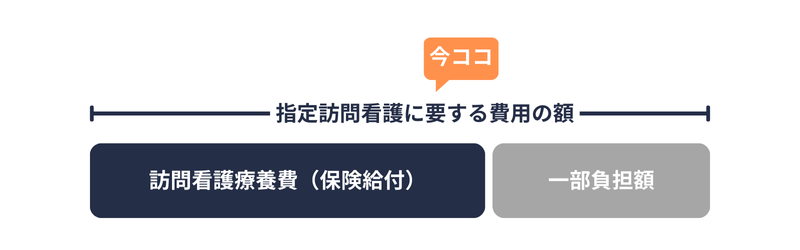 訪問看護療養|費用額