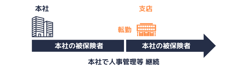被保険者|本社・支店